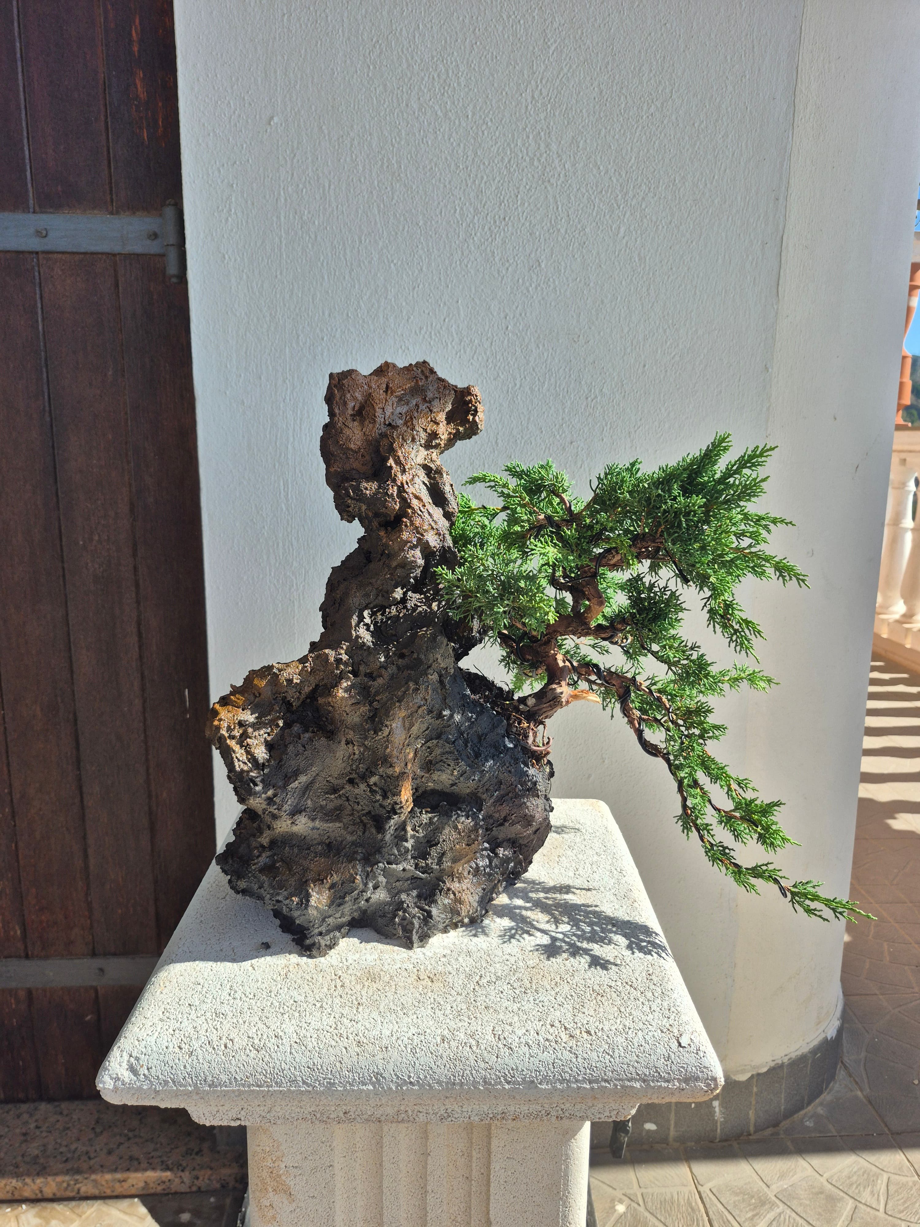 Ishizuki composition Bonsai with Kishu juniper - Piece 3